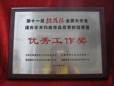 第十一届“挑战杯”全国大学生课外学术科技作品竞赛新疆赛区优秀工作奖