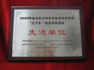 2009年自治区大中专学生志愿者暑期“三下乡”社会实践活动先进单位